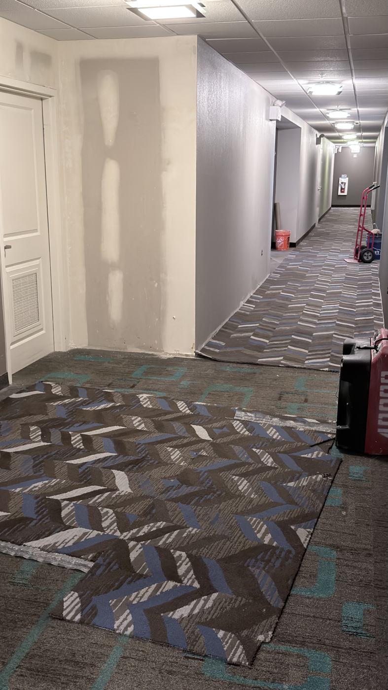 New patterned carpet being rolled out over the old flooring in a hotel guest corridor, air scrubber at the edge of the work zone.